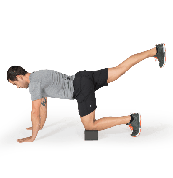 OPTP Performance Block For Yoga, Pilates, & Physical Therapy - Senior.com Physical Therapy