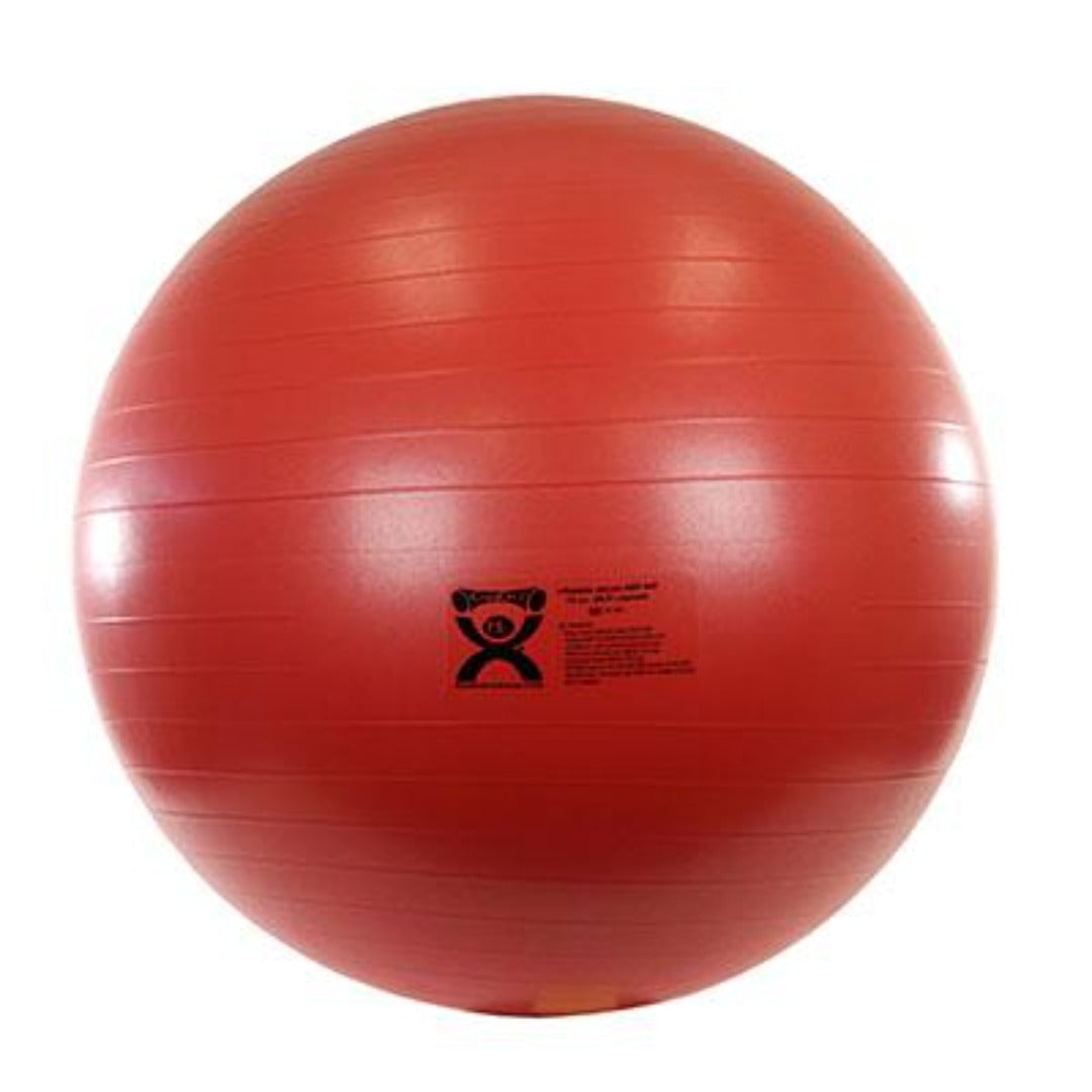 CanDo Deluxe ABS Extra Thick Inflatable Exercise Stability Balls - Senior.com Stability Balls