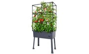 Frame It All Large Self-Watering Elevated Planter w/ Trellis Frame and Greenhouse Cover - Senior.com Planters