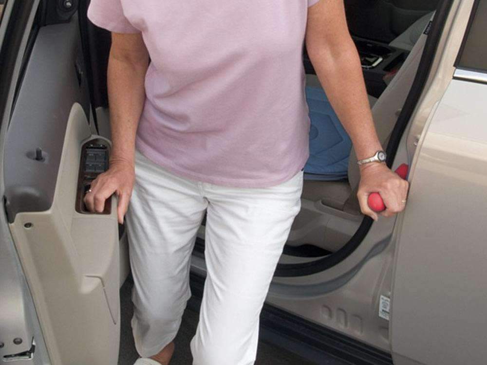 Standers Automobility Solution- 2-in-1 Handybar and Swivel Cushion Seat Combo - Senior.com