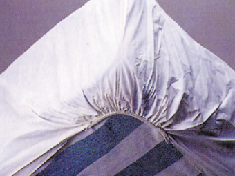 Essential Medical Supply Mattress Protector for Hospital Beds - Senior.com Mattress Accessories