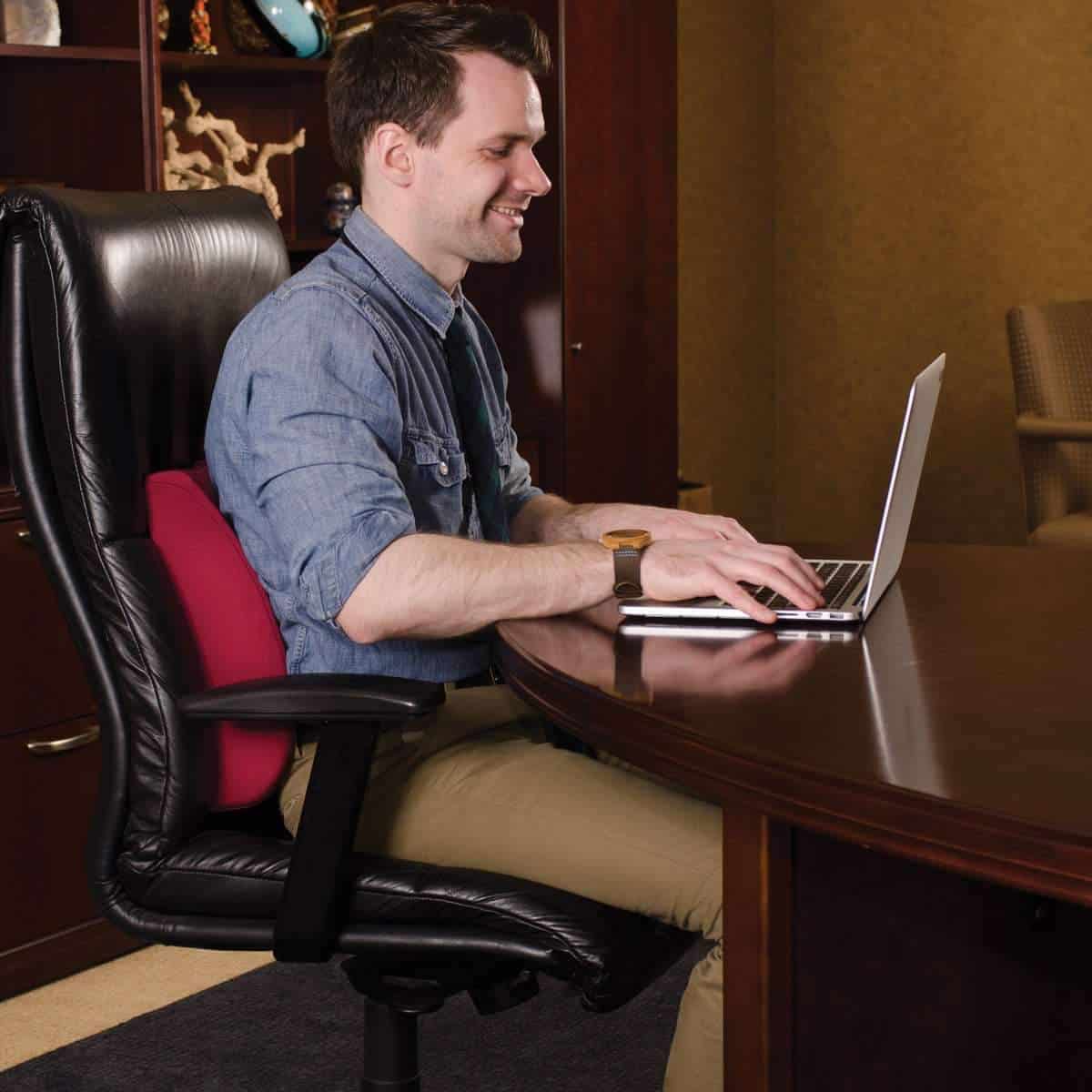 DMI Relax-a-Bac Lumbar Support Back Cushions with Insert and Strap - Senior.com Cushions