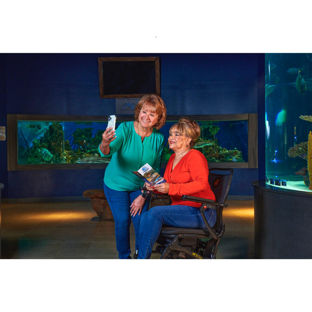 Golden Tech Cricket Carbon Fiber Foldable Travel Power Wheelchair - Senior.com Power Chairs