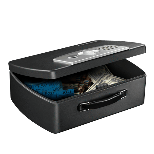 SentrySafe Portable Electronic Lock Box with Handle - Senior.com Portable Safes