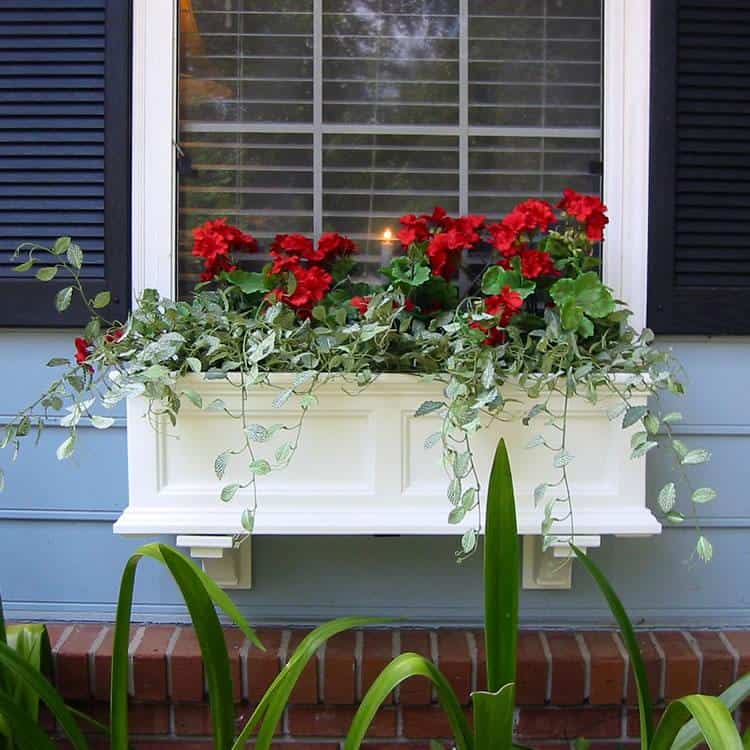 Mayne Fairfield Window Box Planter - 3 ft - Senior.com Window Boxes