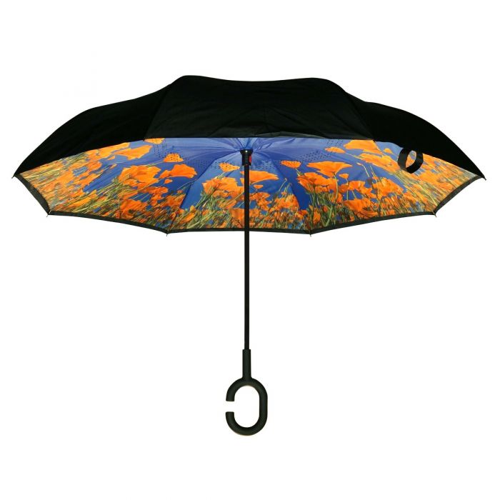 Umbrellas