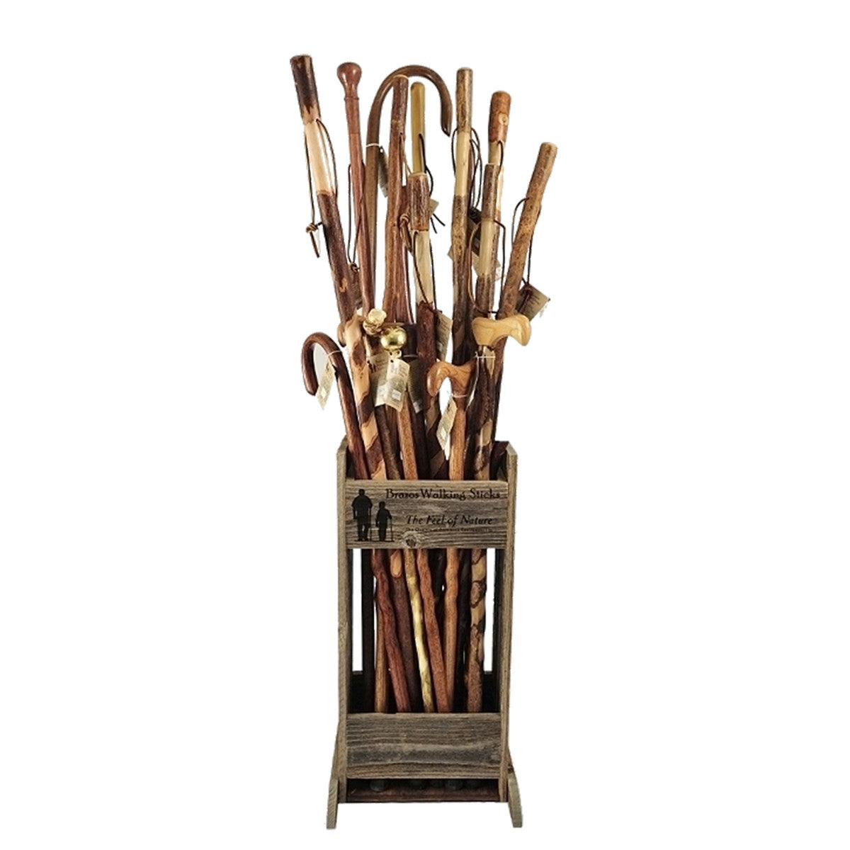 Cane Displays & Holders