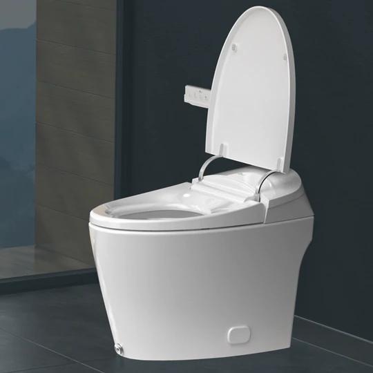 Full Size Toilets & Bidets