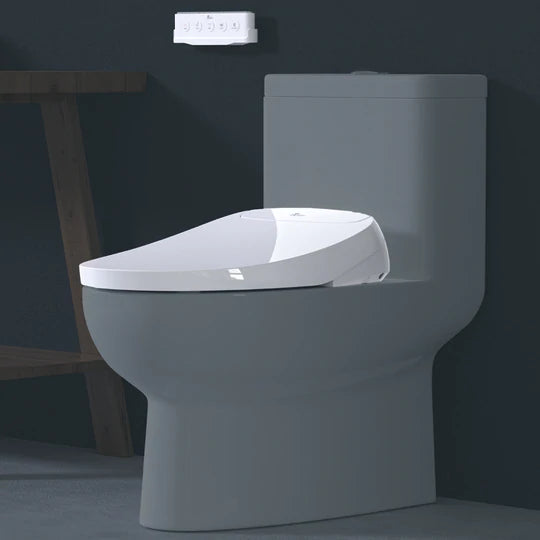 Bidet Seats - Toilet Seat Replacements with Water Spouts for Cleaning