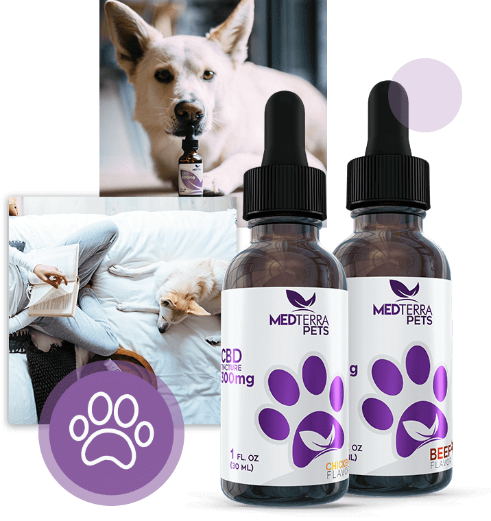 Pet Products - Pet Food, Toys, Bathing, Oils, Beds, Cages & More