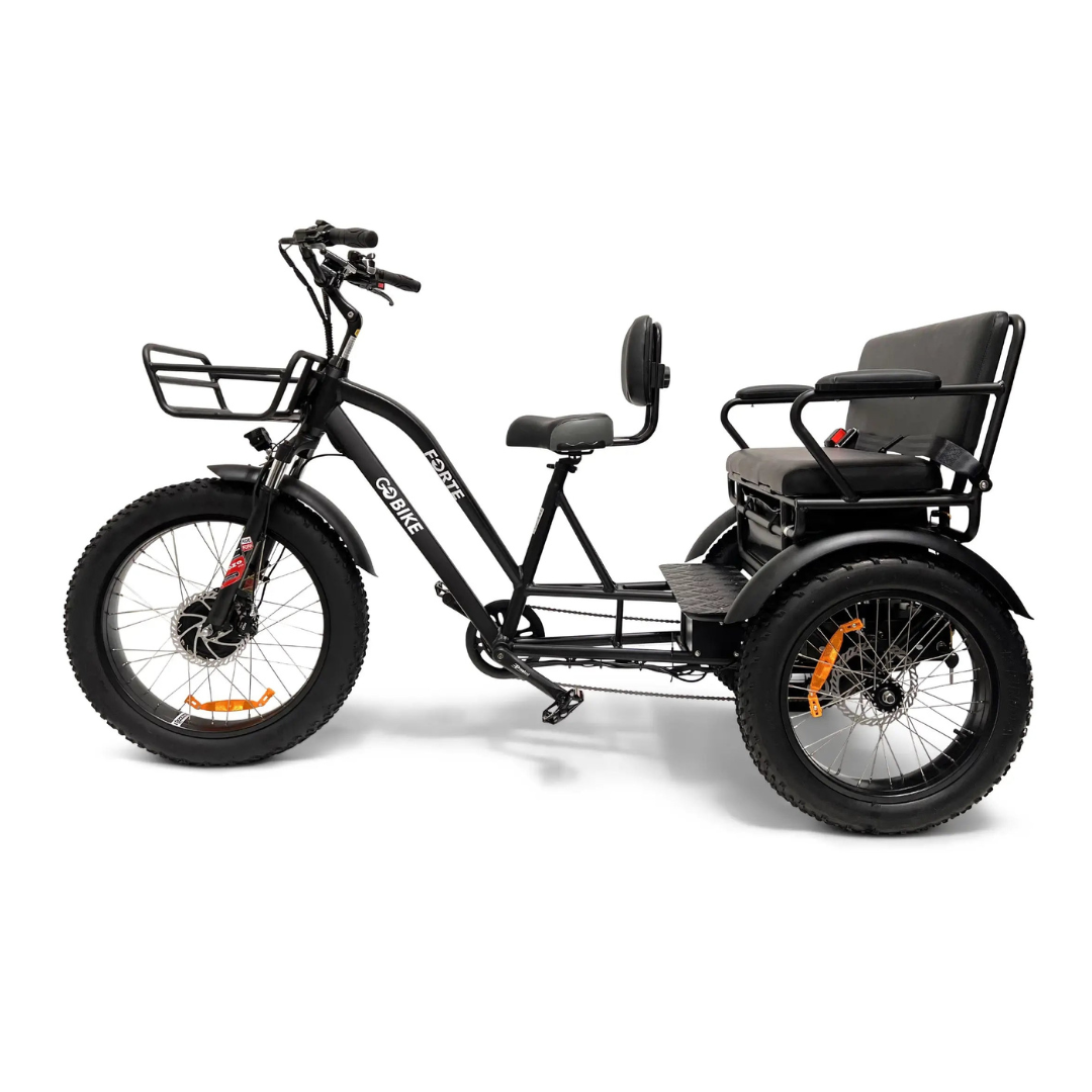 ComfyGo FORTE Electric Off-Road Tricycle With 2-Person Rear Seat - Senior.com Electric Bikes