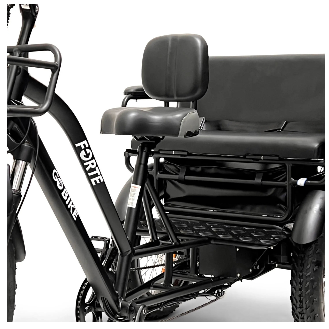 ComfyGo FORTE Electric Off-Road Tricycle With 2-Person Rear Seat - Senior.com Electric Bikes