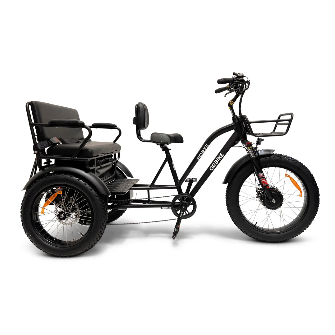 ComfyGo FORTE Electric Off-Road Tricycle With 2-Person Rear Seat - Senior.com Electric Bikes