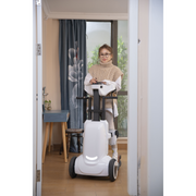 Robooter XZ-Droid Standing Wheelchair for Rehabilitation - Smart Sit-to-Stand Transport Chair - Senior.com Wheelchairs