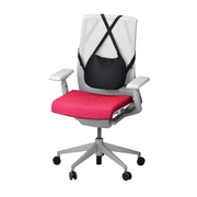 Nova Medical Happy Back Lumbar Cushion with Gel-Cell Double Layer - Senior.com Back & Lumbar Support Cushions