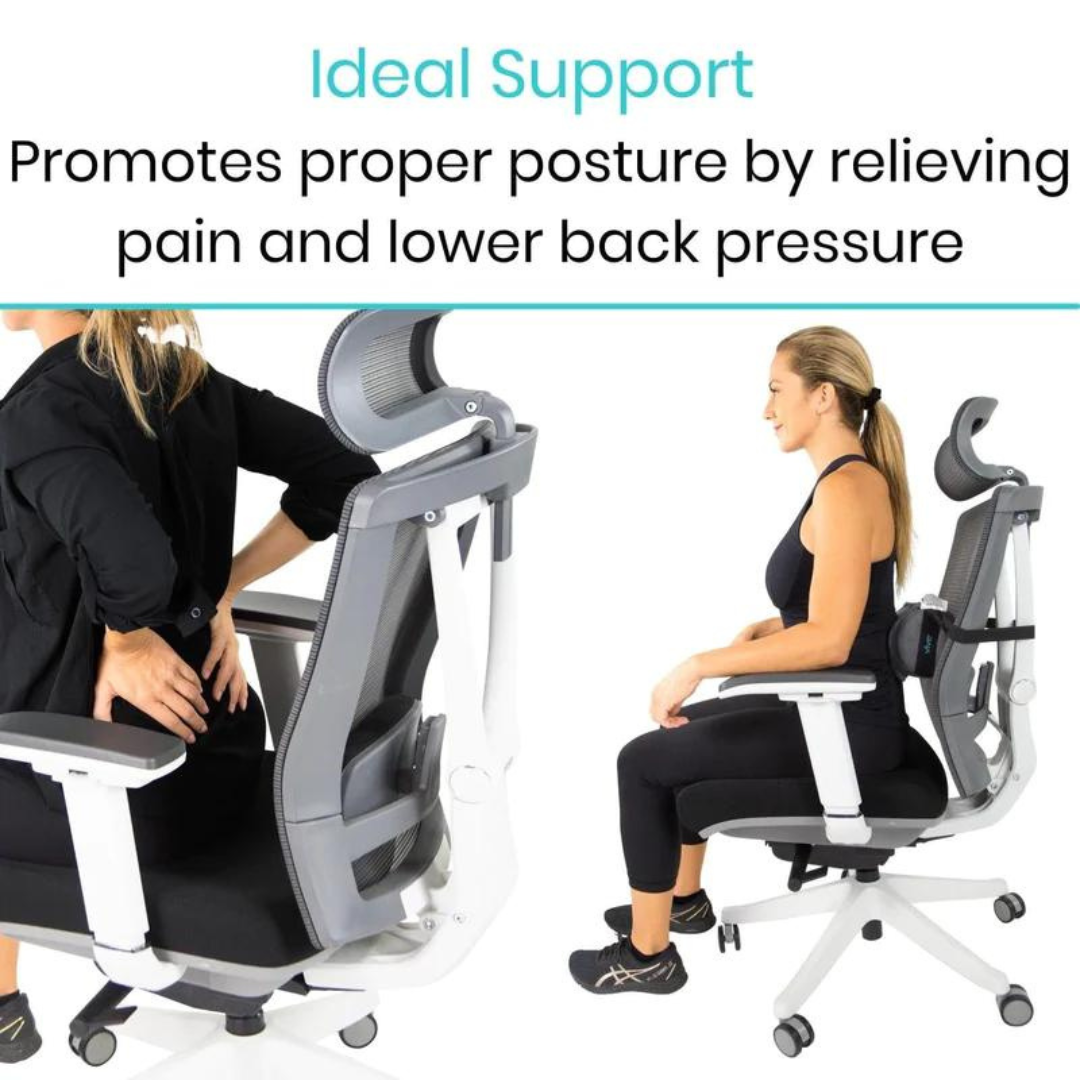 Limited-Time Steal Full Lumbar Support Cushion - Lower Back Pillow - Vive  Health, herniated disc pillow 