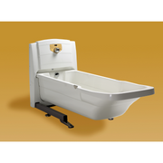 TR Equipment TR900 Bathing System - Hi/Lo Bath Tub - Senior.com Bathing Systems