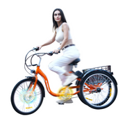 SuperHandy EcoRide Electric Tricycle with Swappable Batteries - Senior.com 