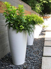 Mayne Modesto Modern Tall Planter - 32 Inch All Weather Design - Senior.com Planters