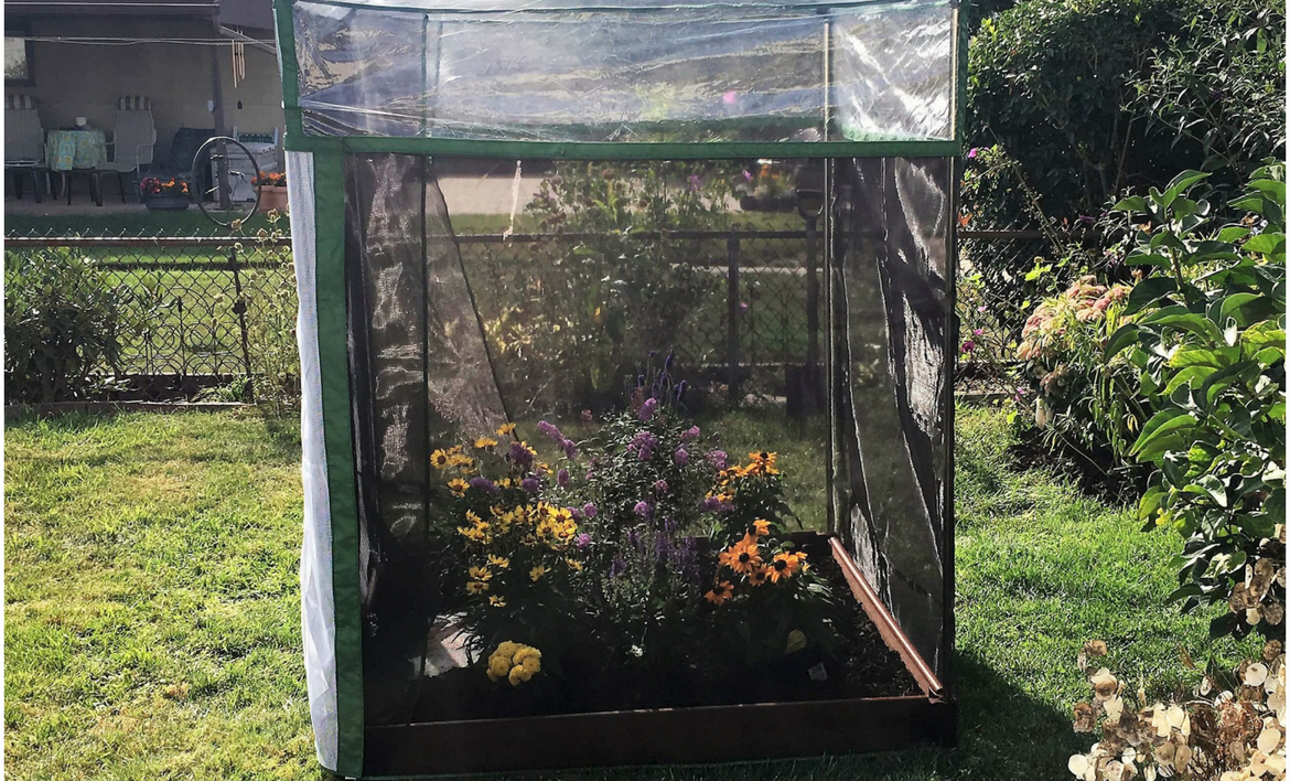 Frame It All Sienna Pro Butterfly Nursery - One Inch Series - 4 ft. x 4 ft - Senior.com Nursery
