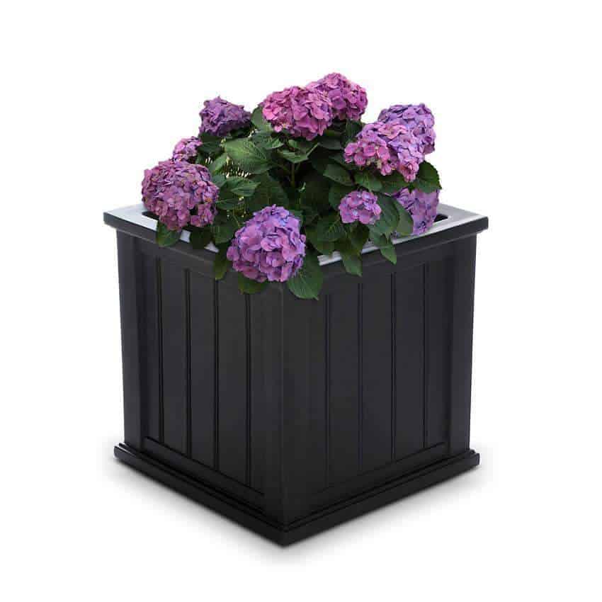 Mayne Outdoor Products Cape Cod Square Patio Planters - 20" X 20"