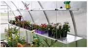 Exaco RIGA 2s Greenhouse with Curved Anodized Frame - 54 sq.ft. - Senior.com Greenhouses