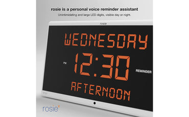 Reminder Rosie 2.0 Stress Free Alarm Clock That Responds To Verbal Personal Voice Commands - Senior.com Alzheimer Aids