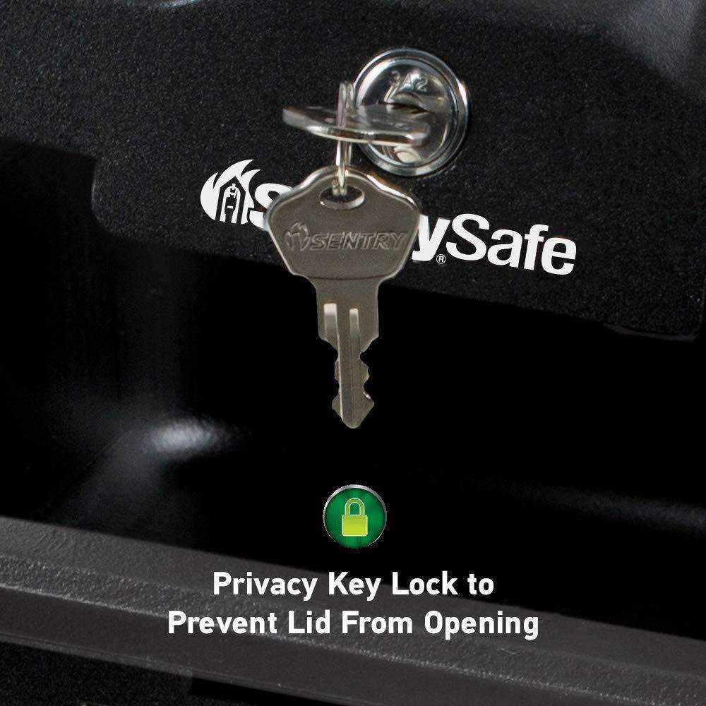 SentrySafe Fireproof Security Box with Key Lock - Senior.com Portable Safes