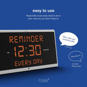 Reminder Rosie 2.0 Stress Free Alarm Clock That Responds To Verbal Personal Voice Commands - Senior.com Alzheimer Aids