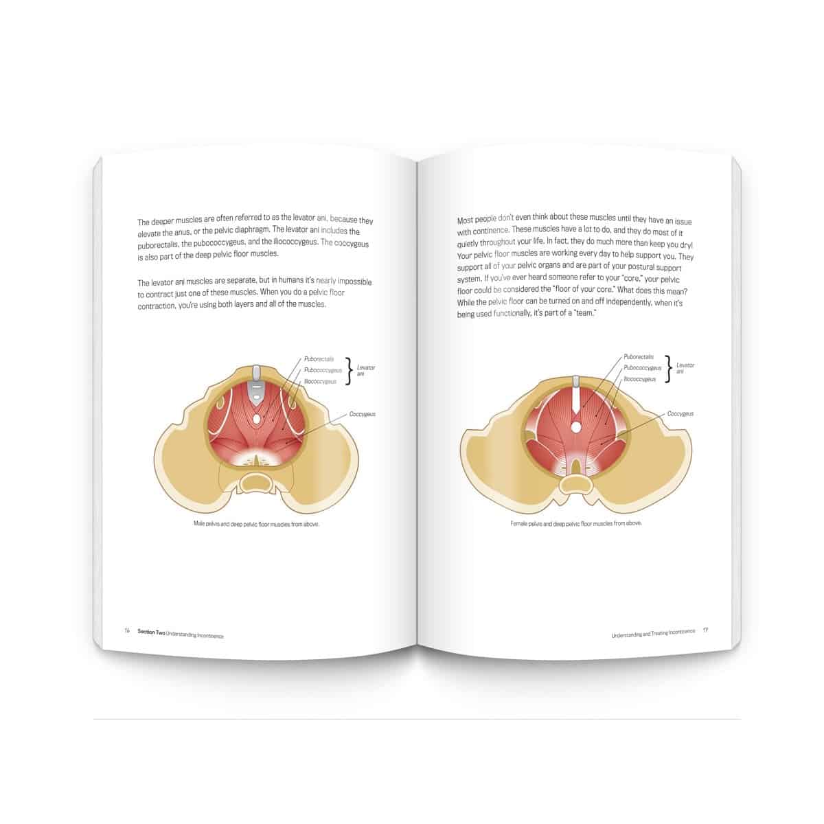 Understanding and Treating Incontinence - Softcover Book - Senior.com Books