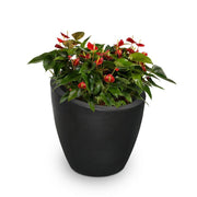 Mayne Modesto Round Planter with Sloped Top and Textured Finish - Senior.com Planters