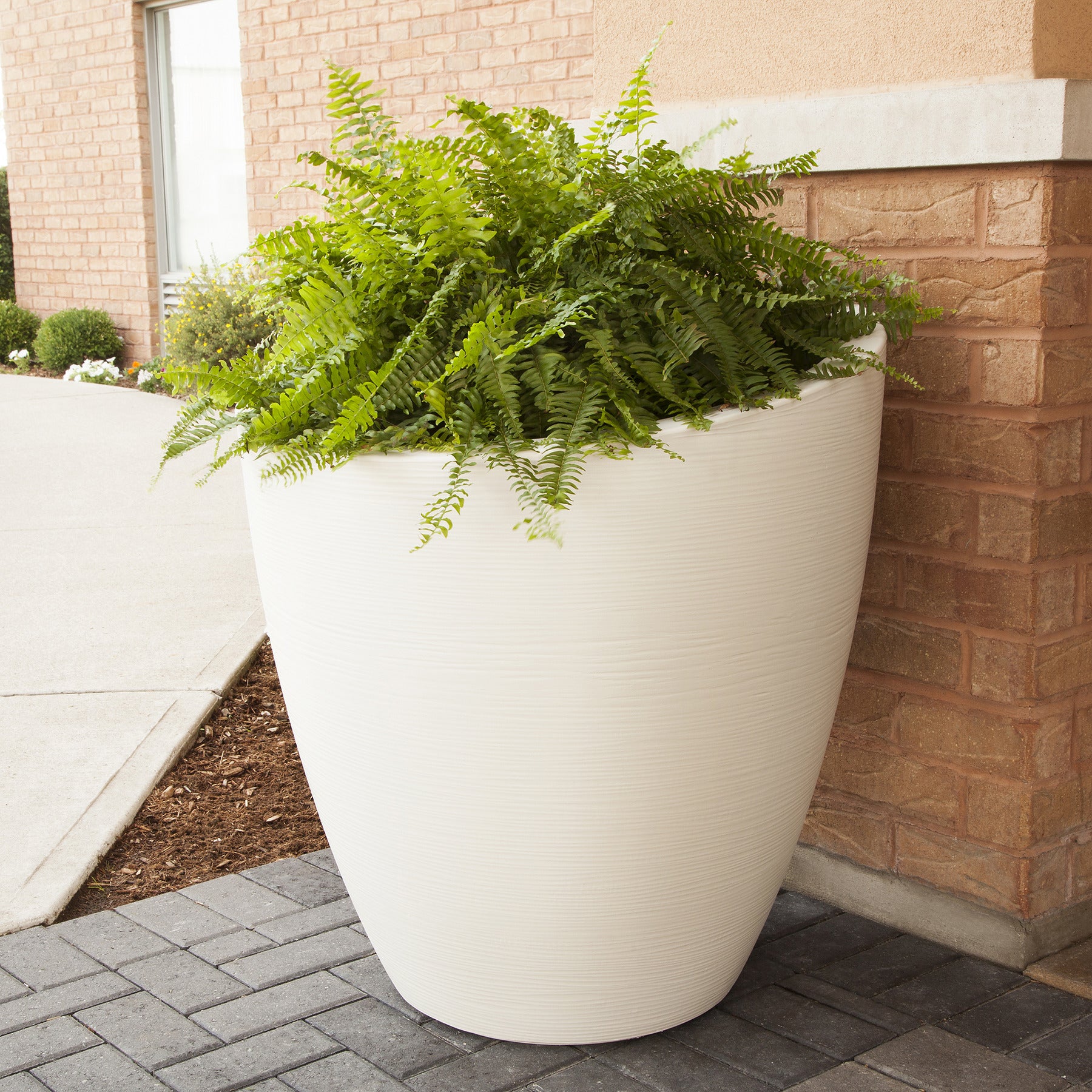 Mayne Modesto Round Planter with Sloped Top and Textured Finish - Senior.com Planters