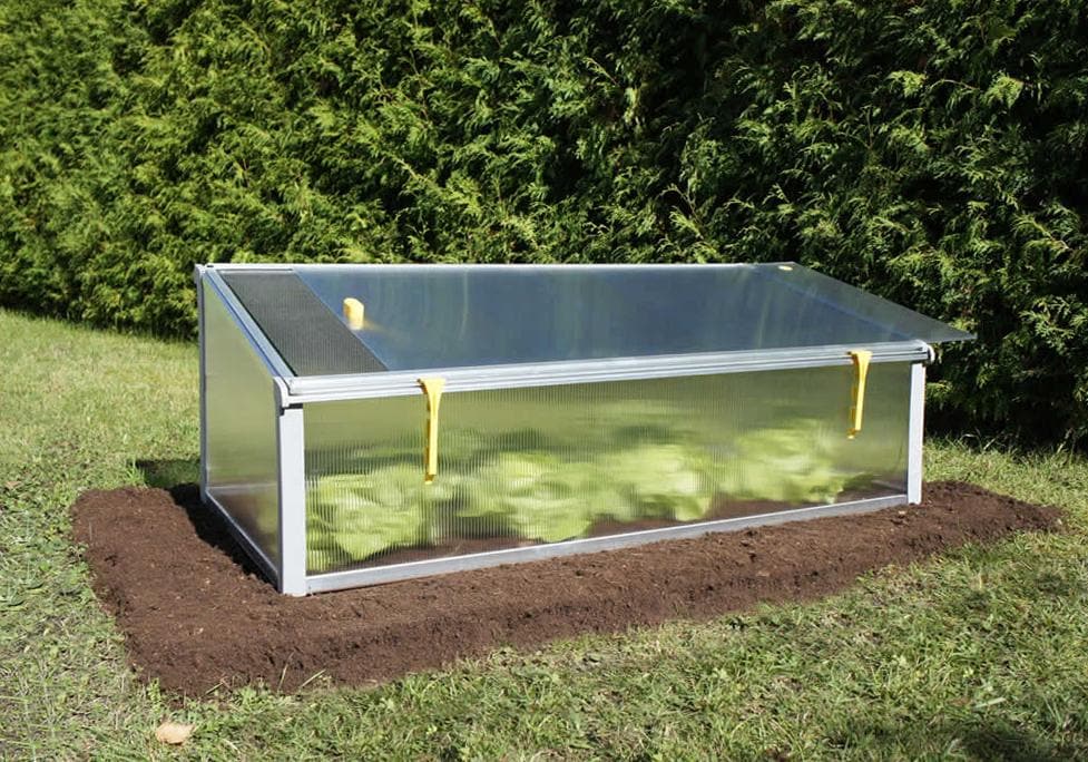 Exaco Gardening Plant Bed All-Year Cold-Frame - Senior.com Plant Grow Boxes