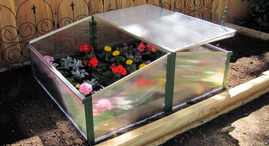 Exaco Easy-Fix Double Cold Frame Garden Plant Box by Juwel - Senior.com Plant Grow Boxes