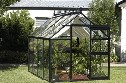 Junior Victorian V23 Greenhouse with Tempered Glass Panels - 80 Sq ft